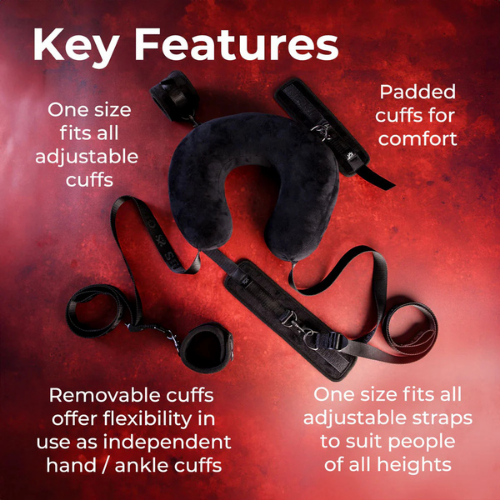 In Control - Position Restraint System